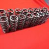1932-50 Ford Lincoln Zephyr valve springs complete set of 16